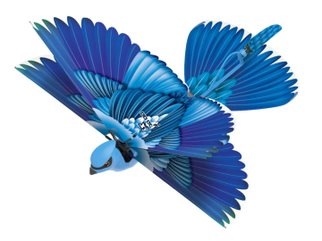 Daljinsko vodeni GO GO Bird