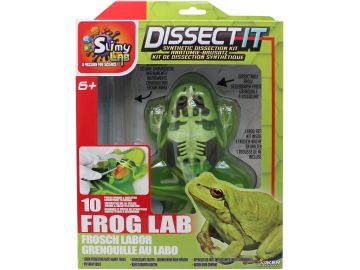 Slimy set za seciranje - žaba