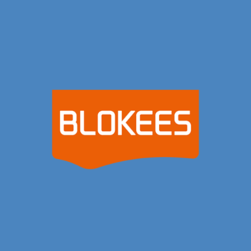 Blokees figure
